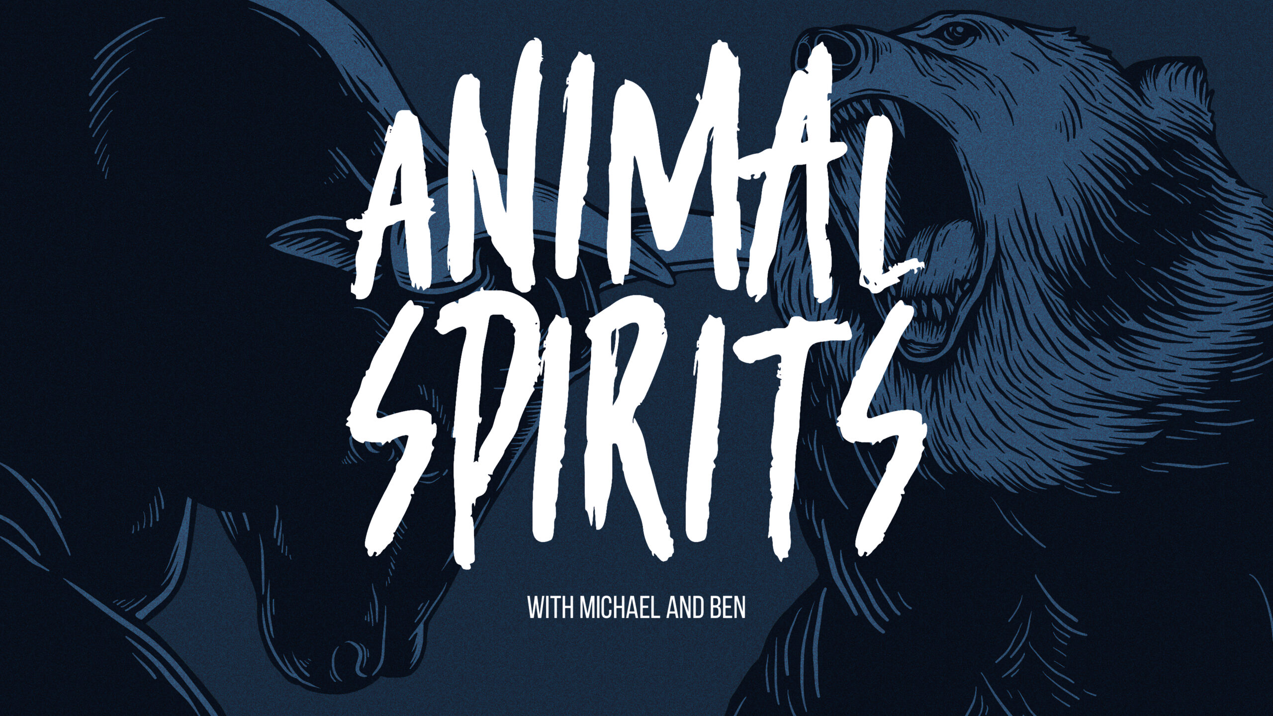 Animal Spirits Podcast - The Irrelevant Investor